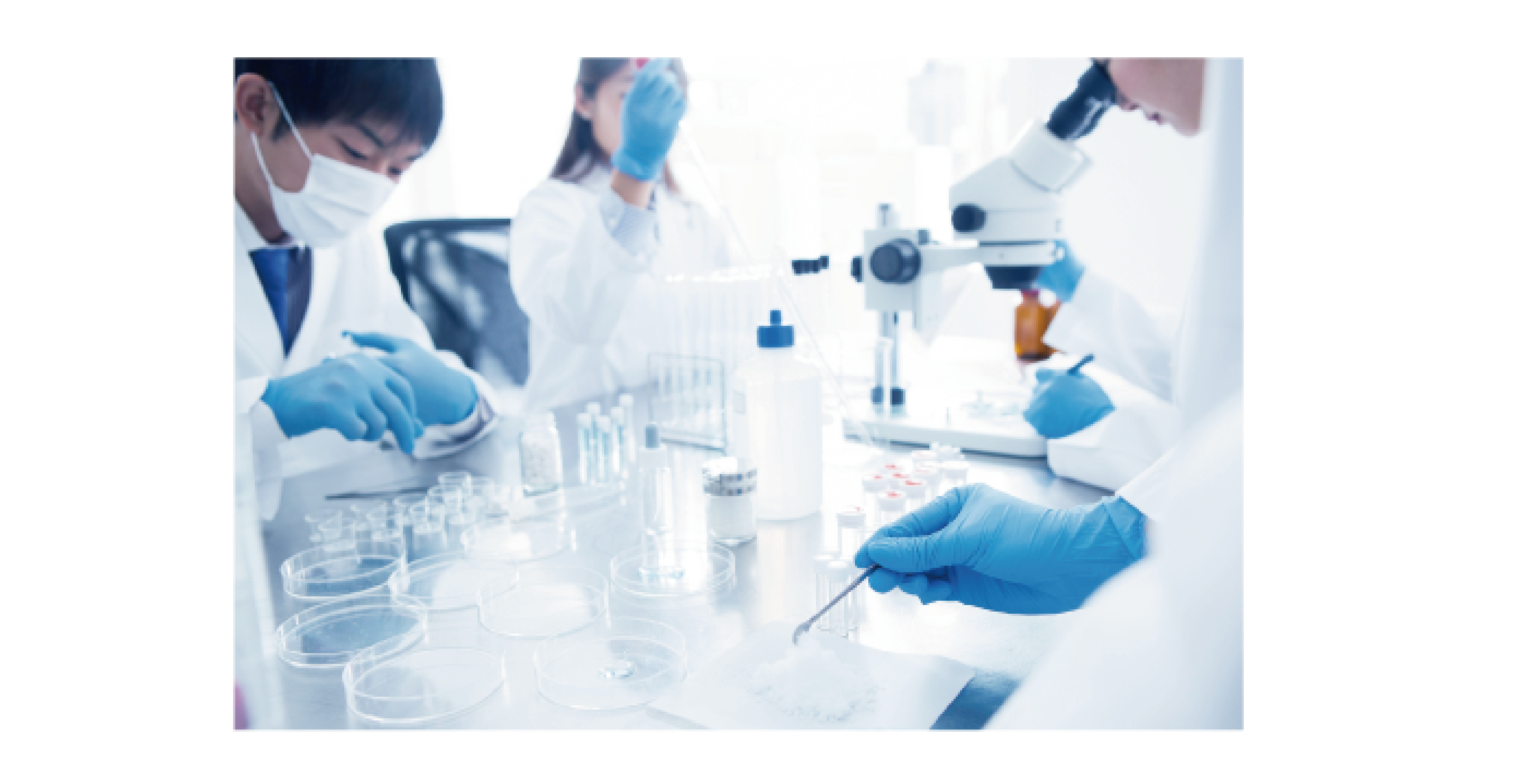 健康食品管理士が企画から開発まで