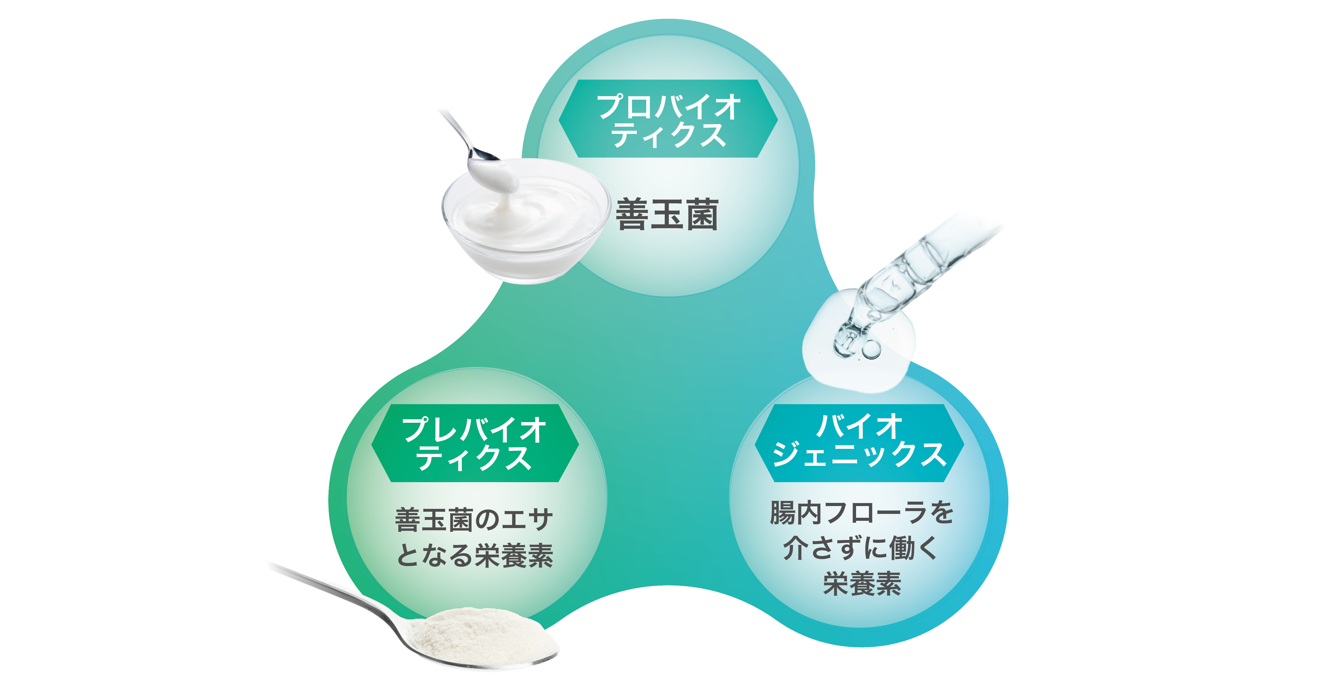 腸内環境に総合的にアプローチ