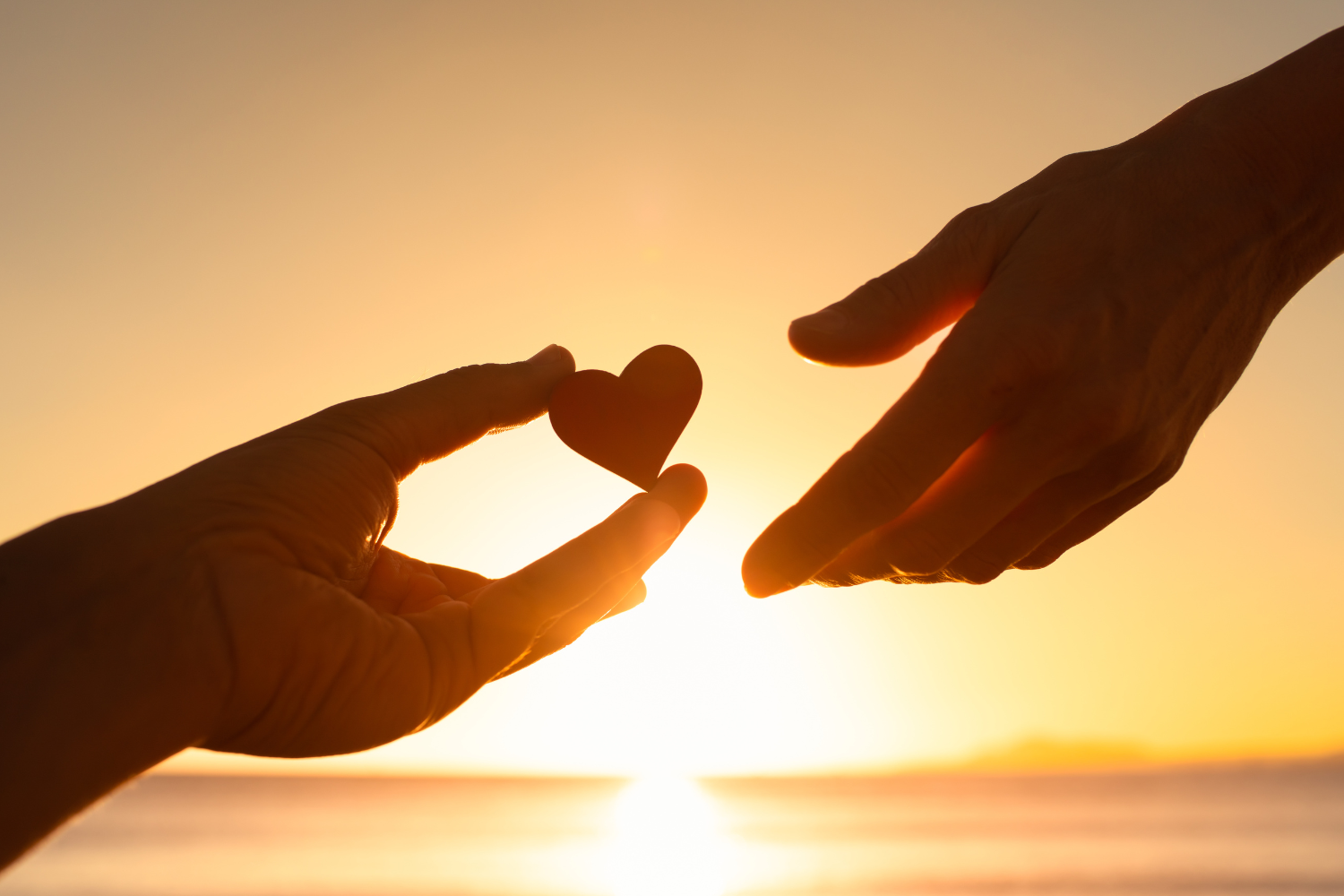 友達紹介で割引！